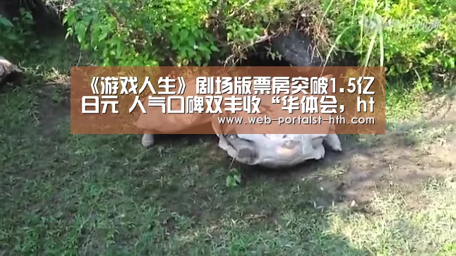 《游戏人生》剧场版票房突破1.5亿日元 人气口碑双丰收“华体会,hth,华体会官网”(图2) 华体会,hth,华体会官网