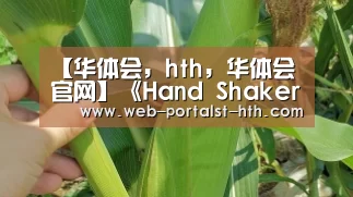 华体会，hth，华体会官网